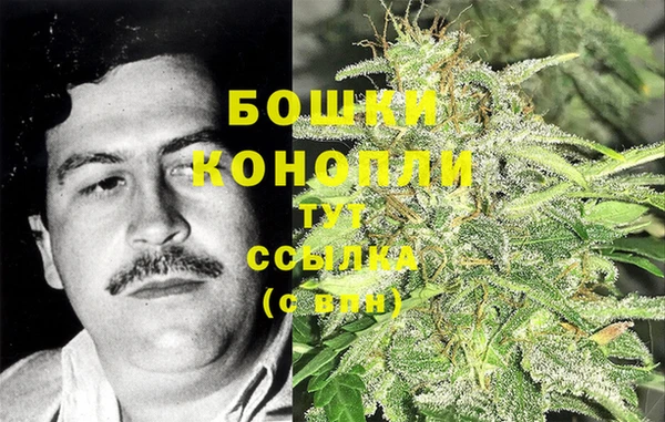 jwh Алзамай