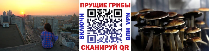 Галлюциногенные грибы прущие грибы  закладка  Белорецк 